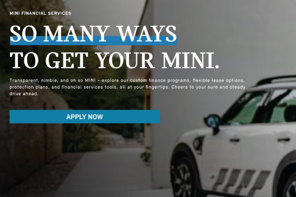 Pictured is a man using his phone in front of a Countryman.