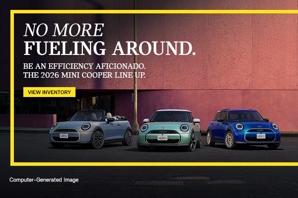 MINI fleet